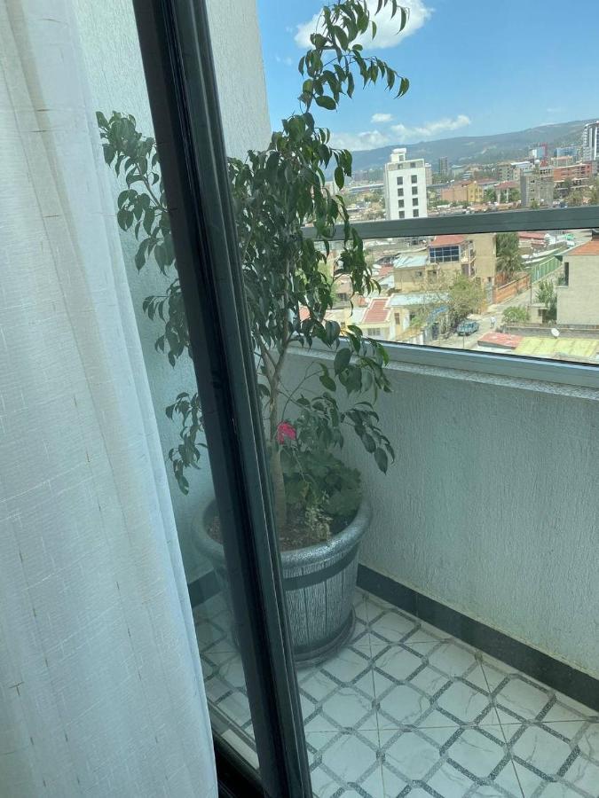 Ecco Modern Guest House Αντίς Αμπέμπα Εξωτερικό φωτογραφία